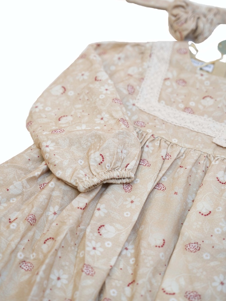 25712 PAMUK DANTEL DETAYLI TOKA AKSESUARLI ELBISE  