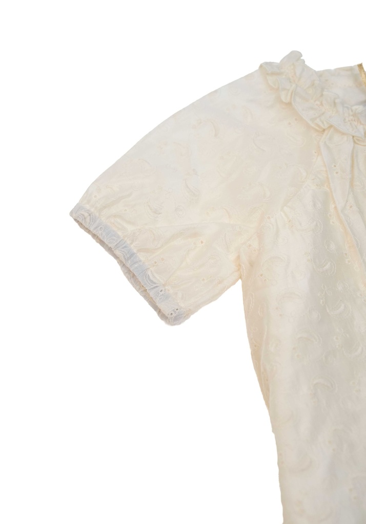 26112 FİYONK DETAYLI BRODE ELBİSE DESENLİ