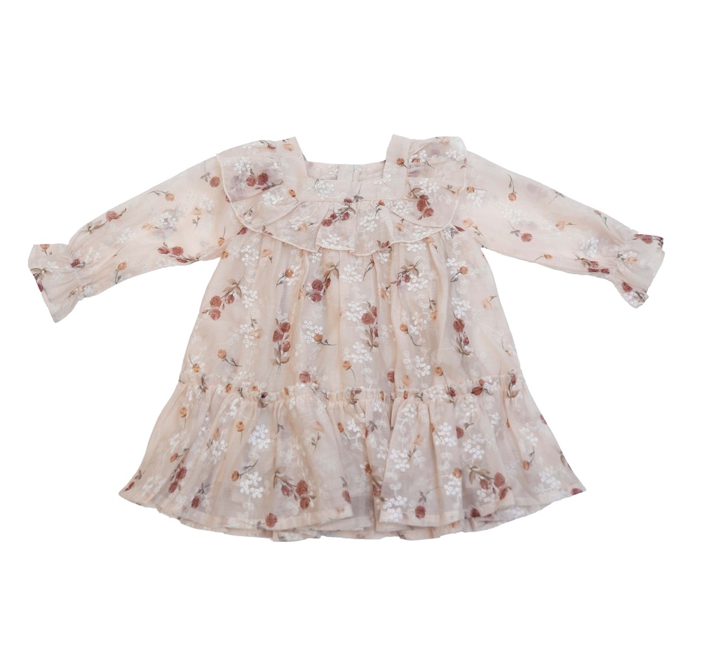 25615 Embroidered Printed Dress