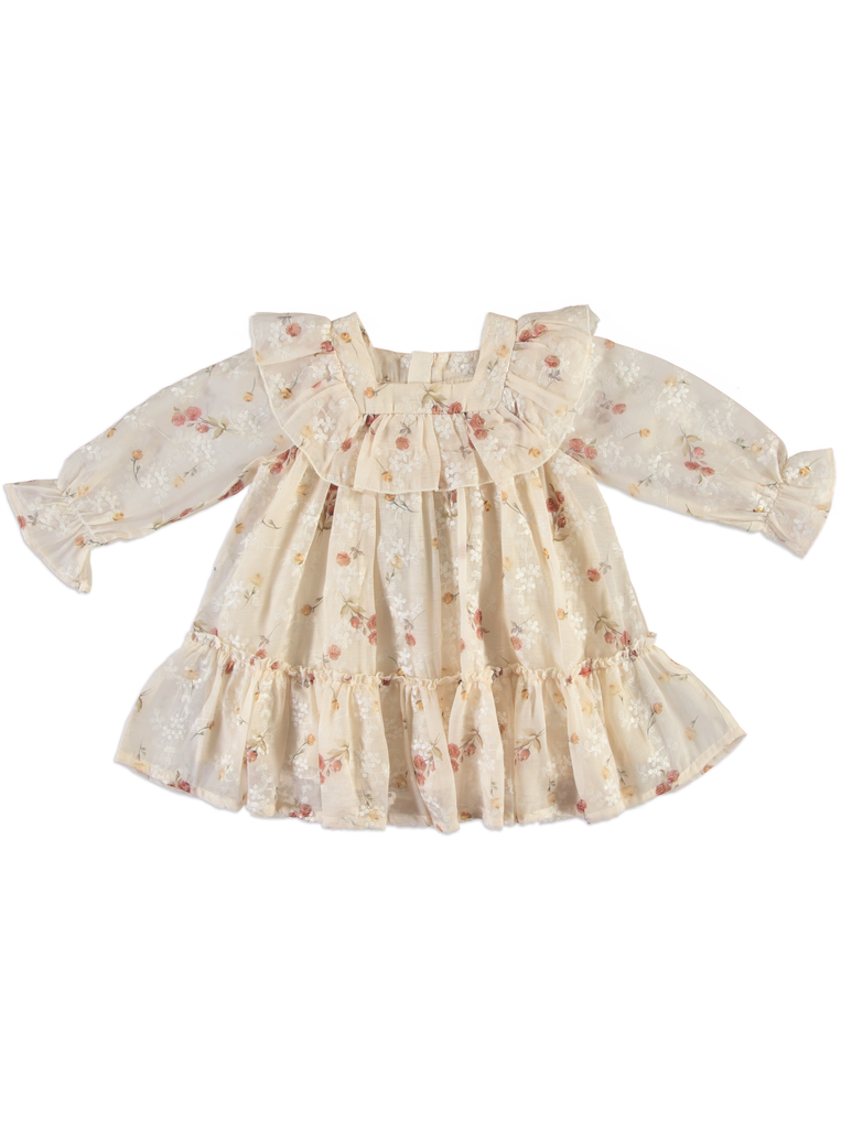 25615 Embroidered Printed Dress