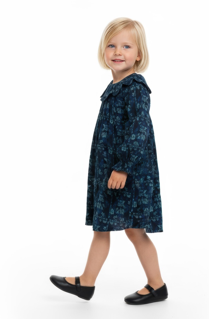 25616 Printed with Daisy Collar Dress - Blue