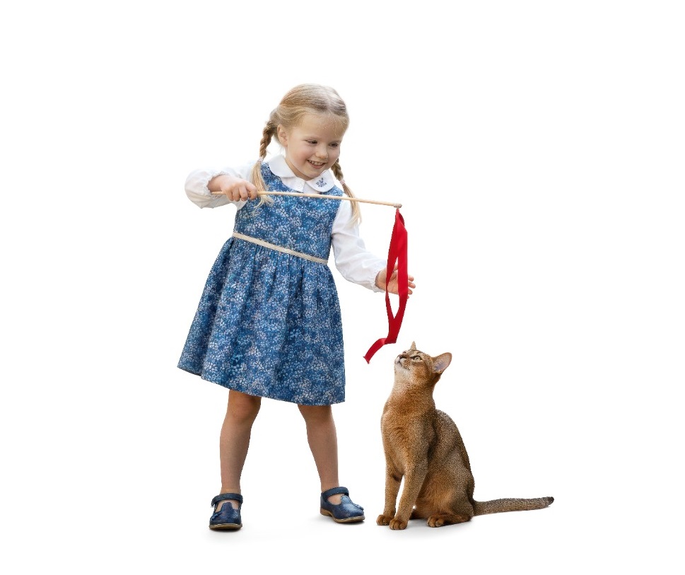 25630 Avec chemise Tablier Robe À motif