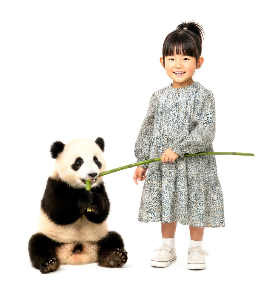 26109 Платье Прямой воротник  В Цветочек  С узором