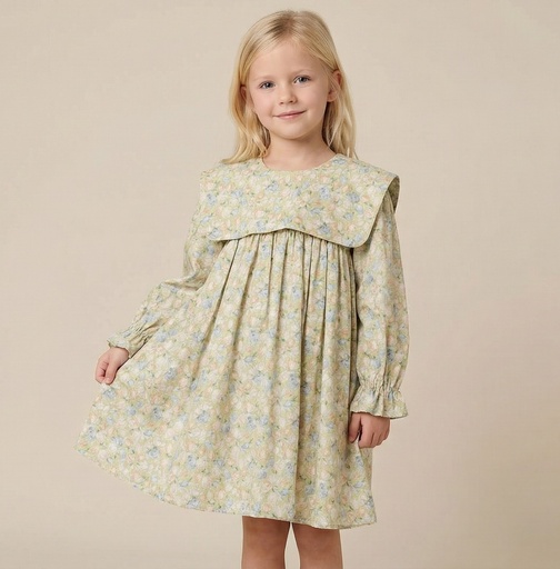 25711 with Rose Details Apron Collar Dress - Green